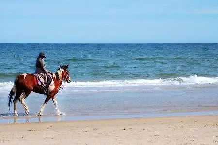 Bed & Breakfast Casale Artemisia